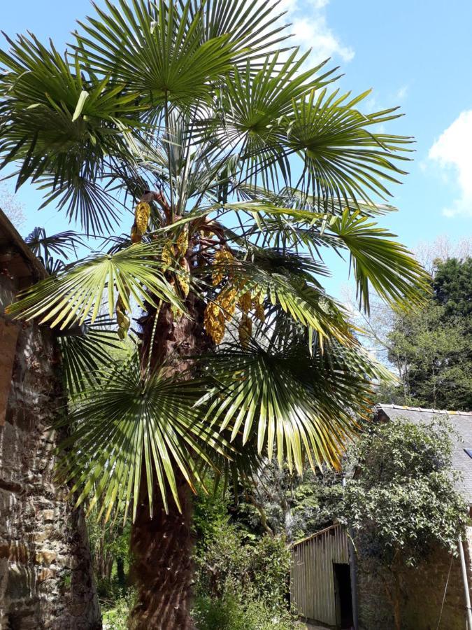 Le Vieux Moulin Bed & Breakfast Goudelin Luaran gambar