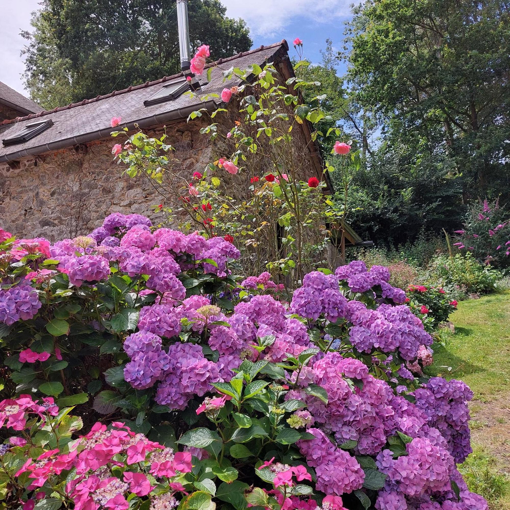 Le Vieux Moulin Bed & Breakfast Goudelin Bilik gambar